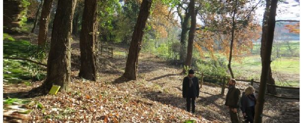 Proseguono i lavori al bosco di Montecchio, entro la primavera l’area verde di Calcinaia sarà completamente riqualificata