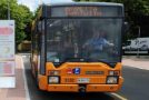 Bus Navetta a Pontedera il 2 novembre (commemorazione di Ognissanti)