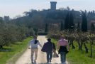 You & Dog sul Monte Pisano, 4 Passi a 6 Zampe come solidarietà per il Monte Pisano