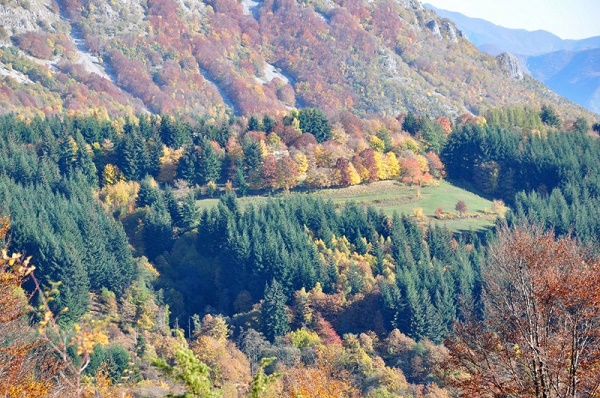 I fantastici colori dell'autunno catturati da una macchina fotografica nel "parco dell'orecchiella"
