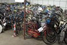 Biciclette abbandonate a Marciana in giacenza presso la Polizia Municipale