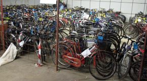 Biciclette abbandonate a Marciana in giacenza presso la Polizia Municipale